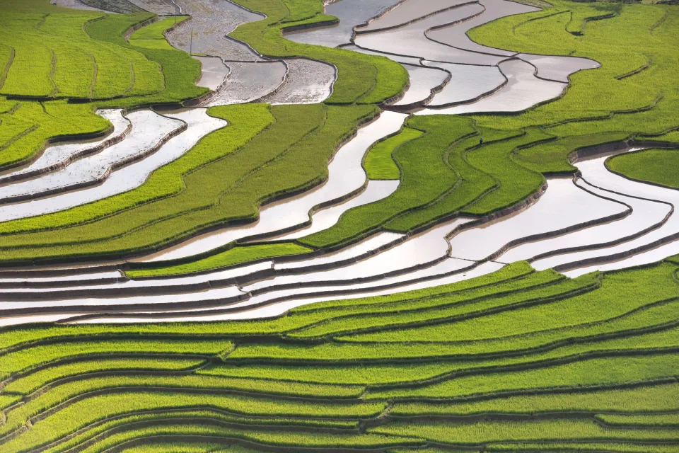 Kho gạo của Hoàng Thị Kiều Tiên